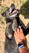 CLEO Imagen 5
